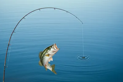 Illustration jerk - Image 1