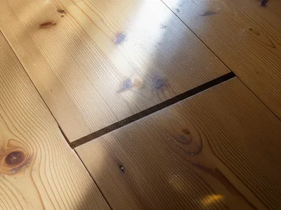 Illustration creep - Image 1