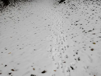 Illustration slots - Image 1