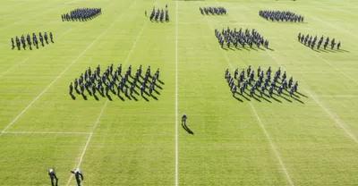 Illustration grinders - Image 1