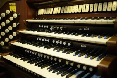 Illustration copula - Image 1