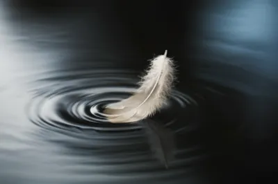 Illustration lipping - Image 1