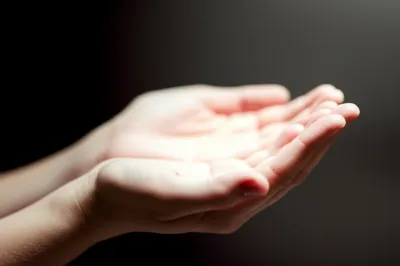 Illustration grant - Image 1