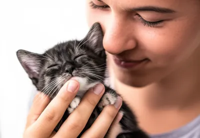 Illustration adored - Image 1