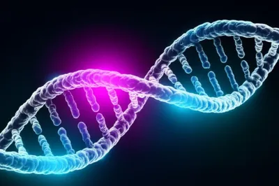 Illustration base - Image 1