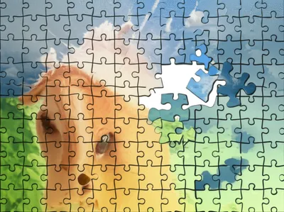 Illustration incongruity