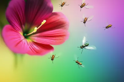 Illustration allure - Image 1