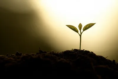 Illustration dream - Image 1