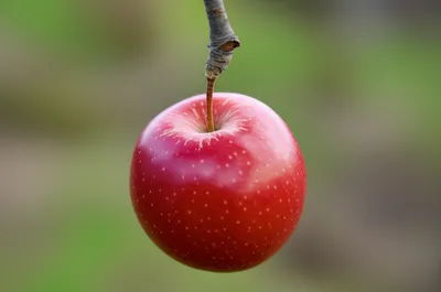 Illustration dropping - Image 1