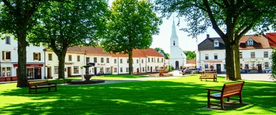 Illustration greens - Image 1