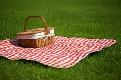 Illustration check - Image 1