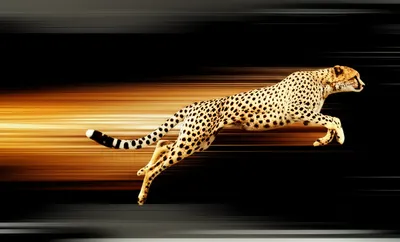 Illustration quickly