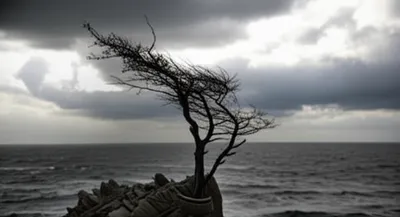 Illustration hardier - Image 1