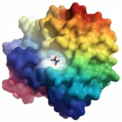 Illustration cofactors - Image 1