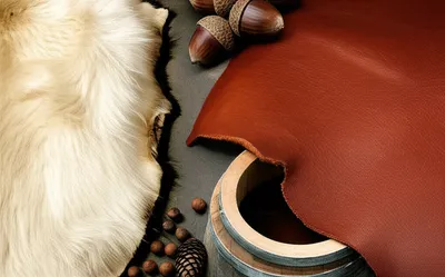 Illustration tan - Image 1