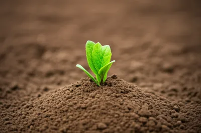 Illustration hills - Image 1