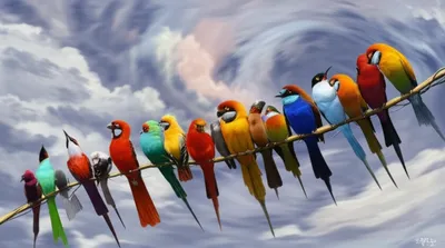 Illustration fashions - Image 1