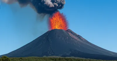 Illustration expels - Image 1