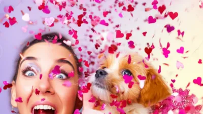 Illustration gushes - Image 1