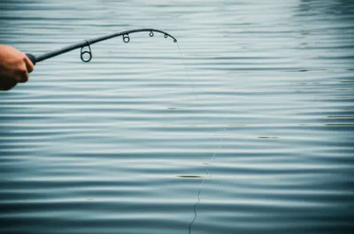 Illustration stick - Image 1