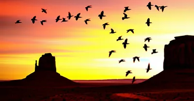 Illustration southwestwards - Image 1