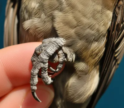 Illustration web - Image 1