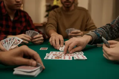 Illustration sheepshead - Image 1