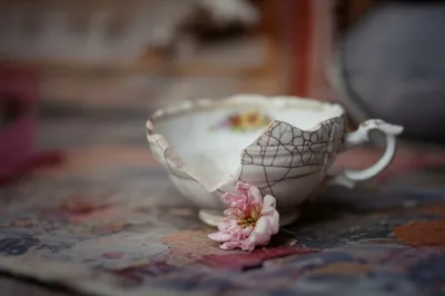 Illustration damages - Image 1