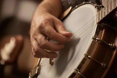 Illustration frails - Image 1