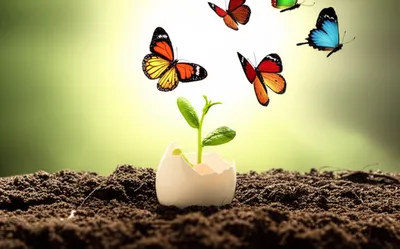 Illustration realising - Image 1