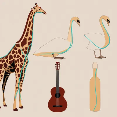 Illustration necks - Image 1