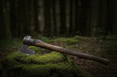 Illustration axes - Image 1