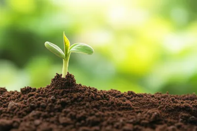 Illustration young - Image 1