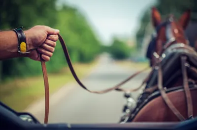 Illustration lines - Image 1