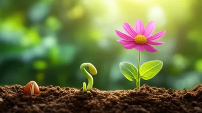 Illustration gets - Image 1