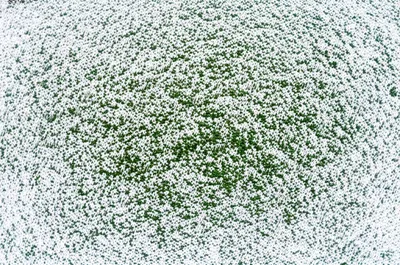 Illustration carpeted - Image 1