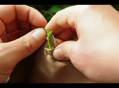 Illustration invested - Image 1