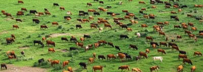 Illustration surcharging - Image 1