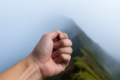 Illustration fist - Image 1