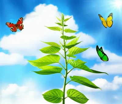 Illustration younger - Image 1