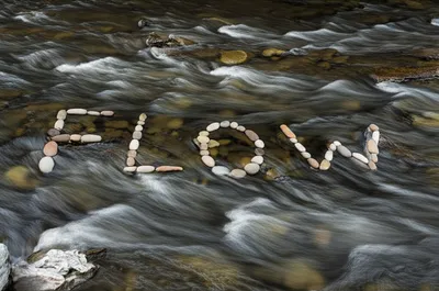 Illustration inline - Image 1