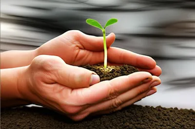 Illustration retaining - Image 1