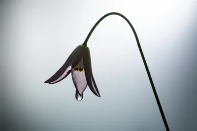 Illustration hurt - Image 1