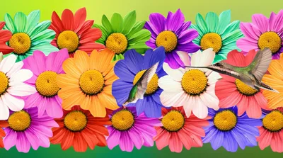 Illustration continual