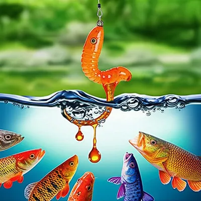 Illustration baits - Image 1