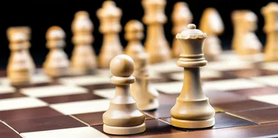 Illustration replacing - Image 1