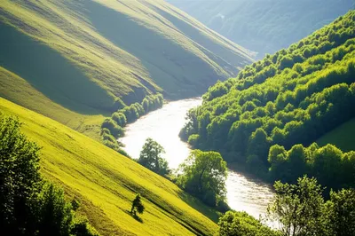 Illustration glen - Image 1