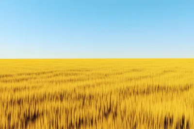 Illustration undulating - Image 1