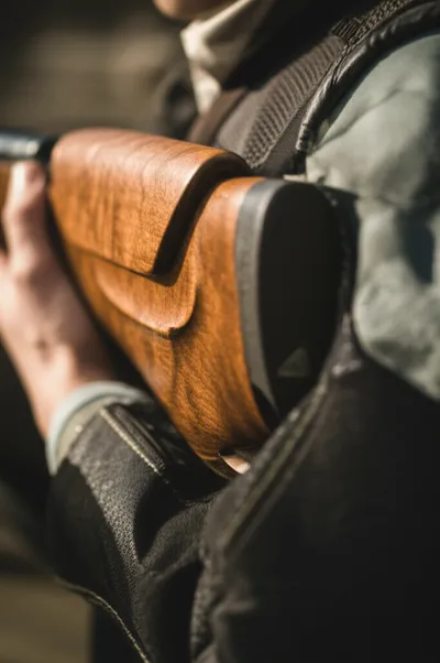 Illustration gunstock - Image 1