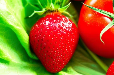 Illustration fresher - Image 1